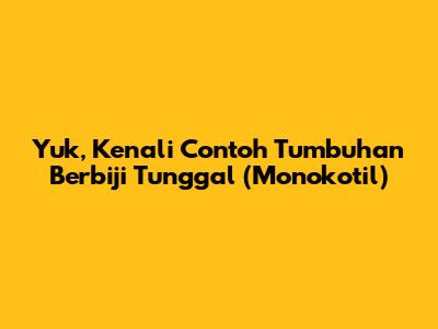 Yuk, Kenali Contoh Tumbuhan Berbiji Tunggal (Monokotil)