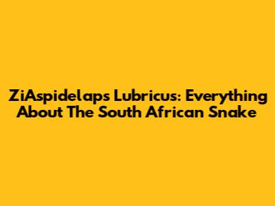 ZiAspidelaps Lubricus: Everything About The South African Snake